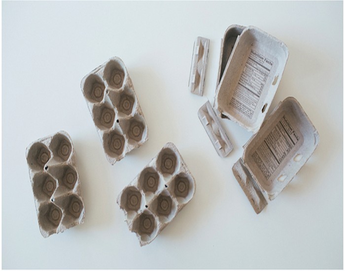 Recycled Egg Cartons
