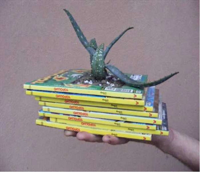 Recycling Old Books Handmade Planter Designs