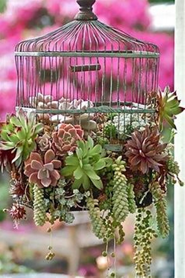 Bird Cages Creative Outdoor Decorating