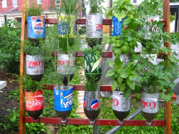 Recycled Plastic Bottles Mini Gardening