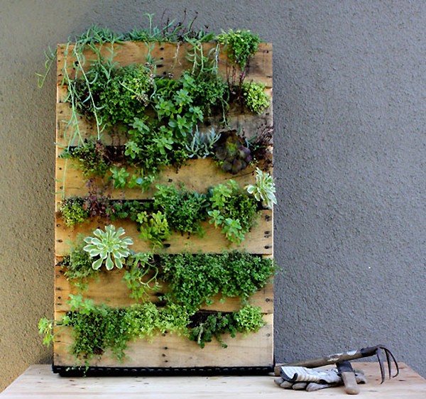 Upcycled Wall Garden Planter