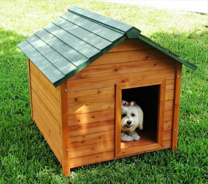 Beautiful Pallet Dog House