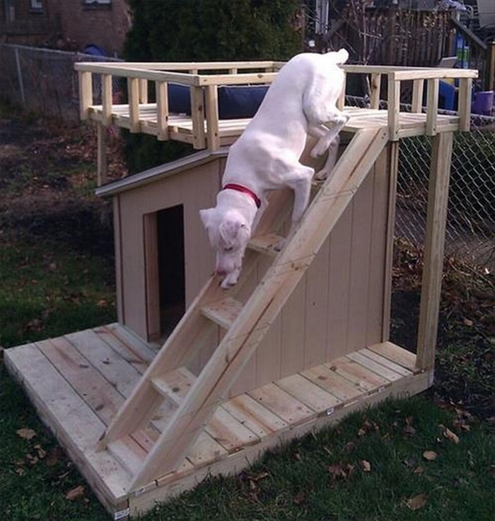 Pallet DIY Dog House