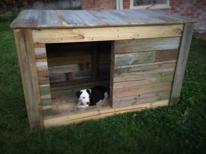 Pallet Wooden Dog House