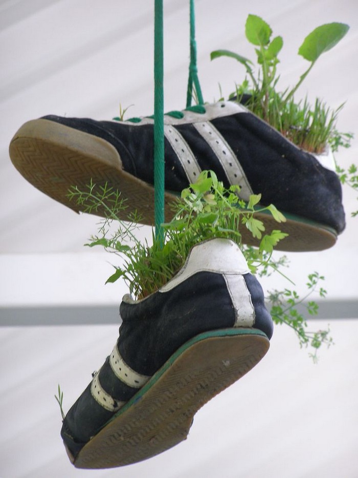 Recycled Shoes Planter Idea