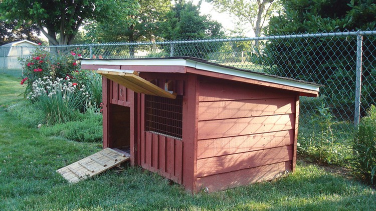 Recycled Pallet Chicken Coop