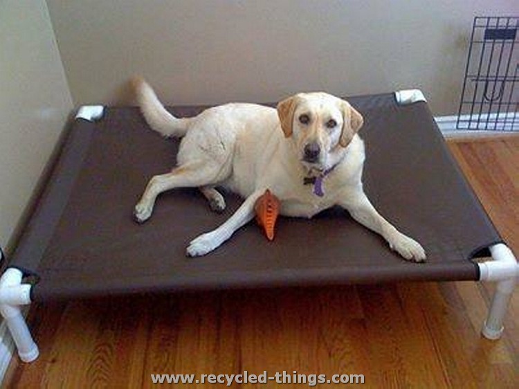 PVC Pipe Dog Bed