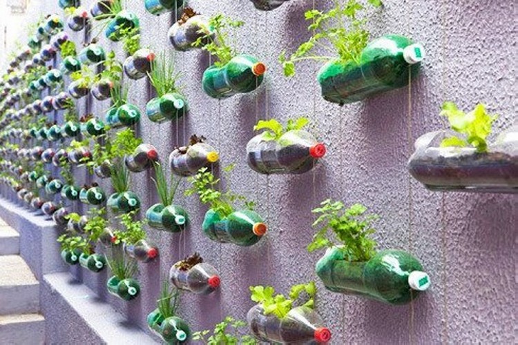 Plastic Bottles Verticle Garden