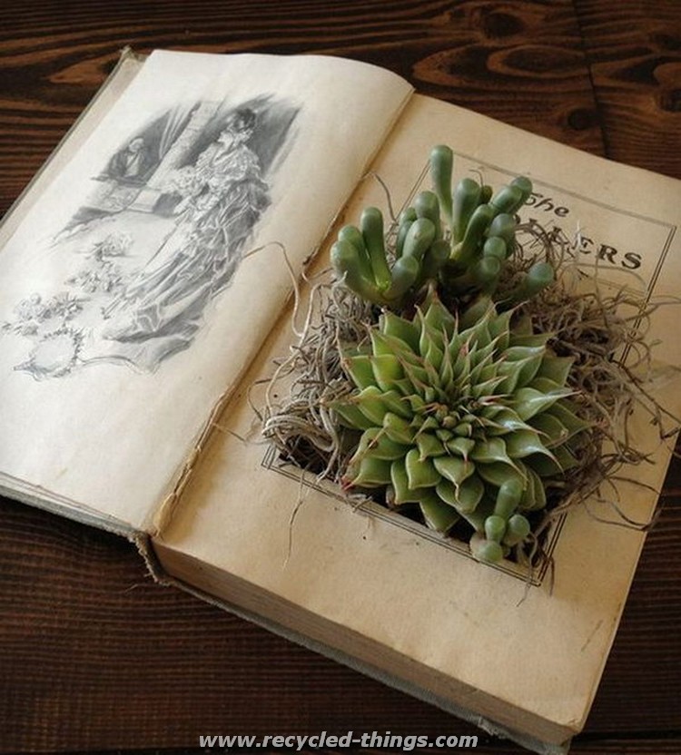 Old Book Planter