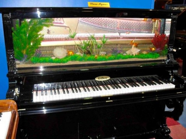 Old Piano Aquarium