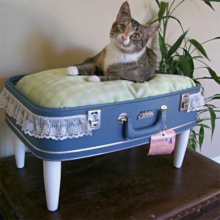 Old Suitcase into Cat Bed