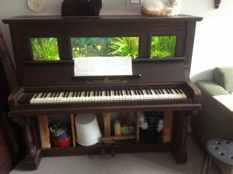 Piano Recycled Aquarium