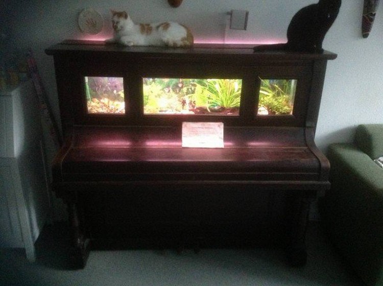 Piano Upcycled into Aquarium