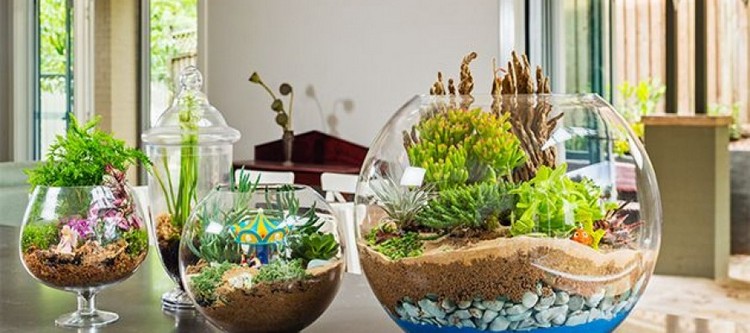 Ideas to Decor Your Home with Terrariums