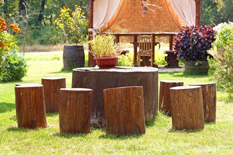 Garden Furniture with Tree Trunks
