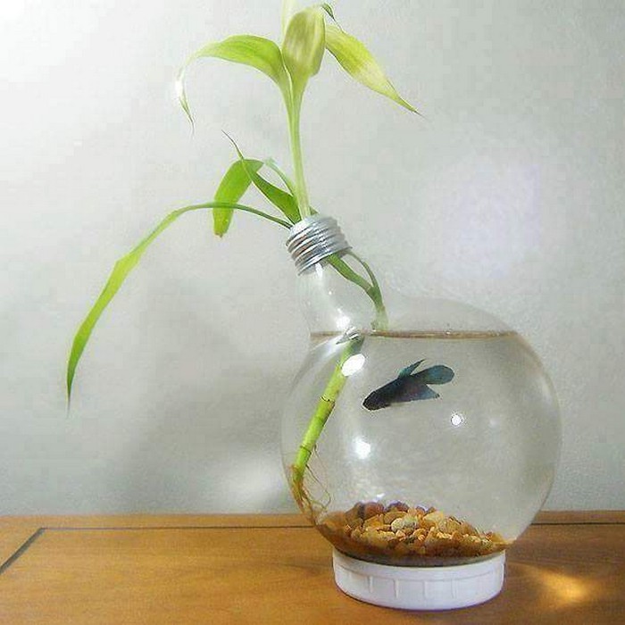 Reused Light Bulb Idea