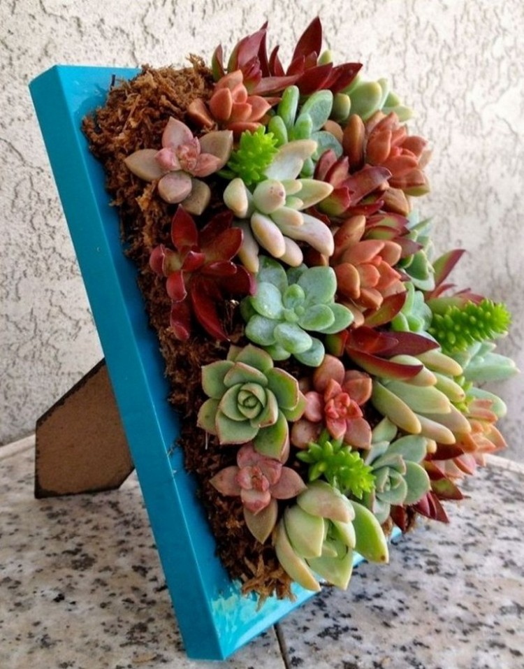 Picture Frame Planter