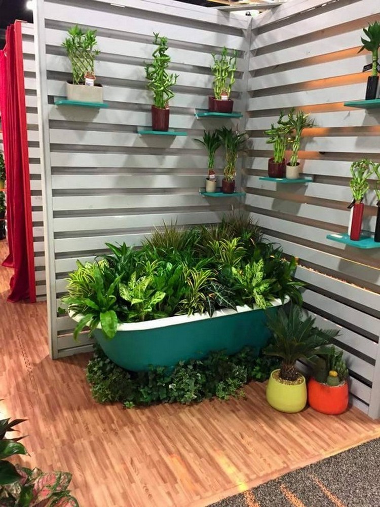 Decor with Hanging Plants