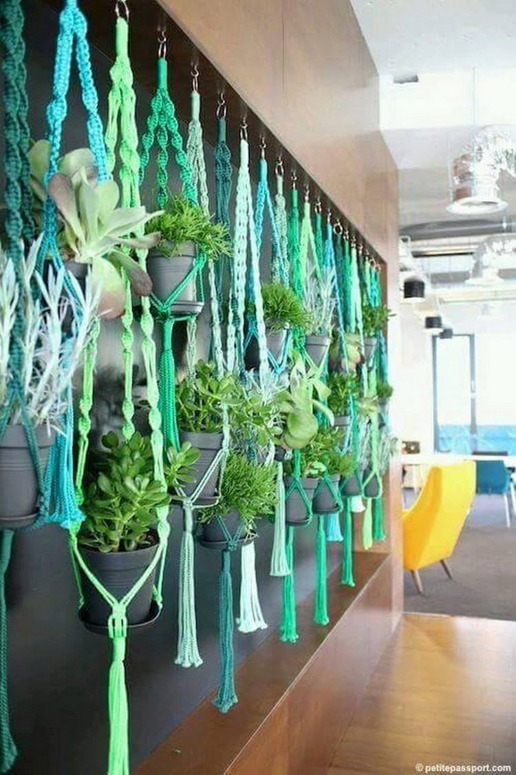 Hanging Plants Decor Ideas