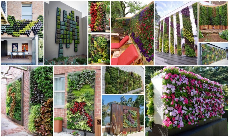 Eye Catching Vertical Gardens That Can Beautify Any Plain Wall