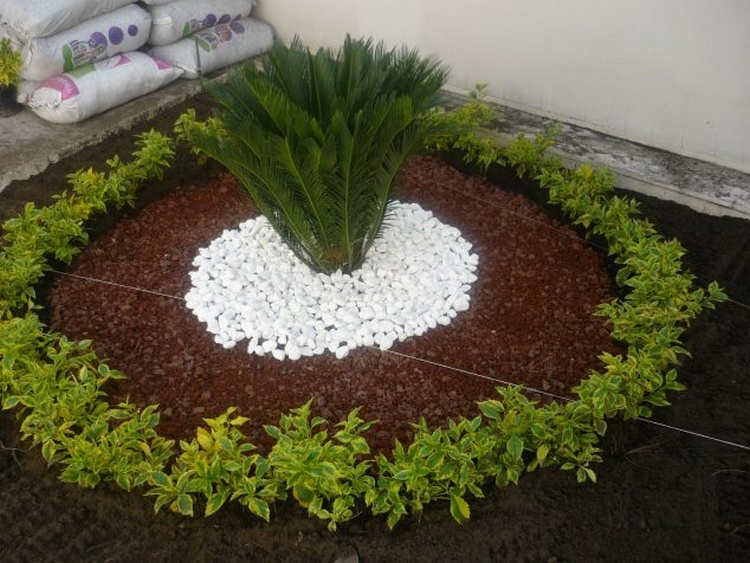 Wonderful Garden Decor Idea