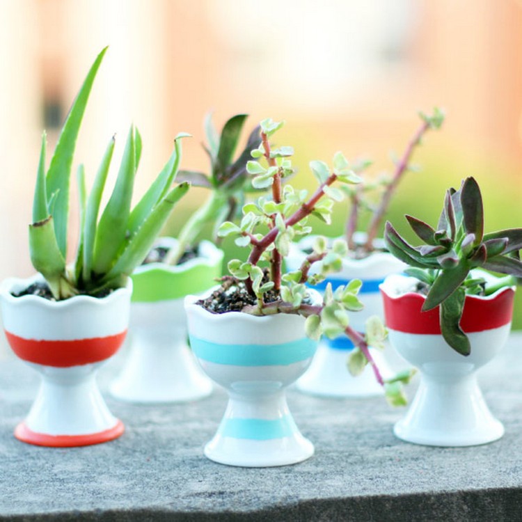 Egg Cup Planted Succulents