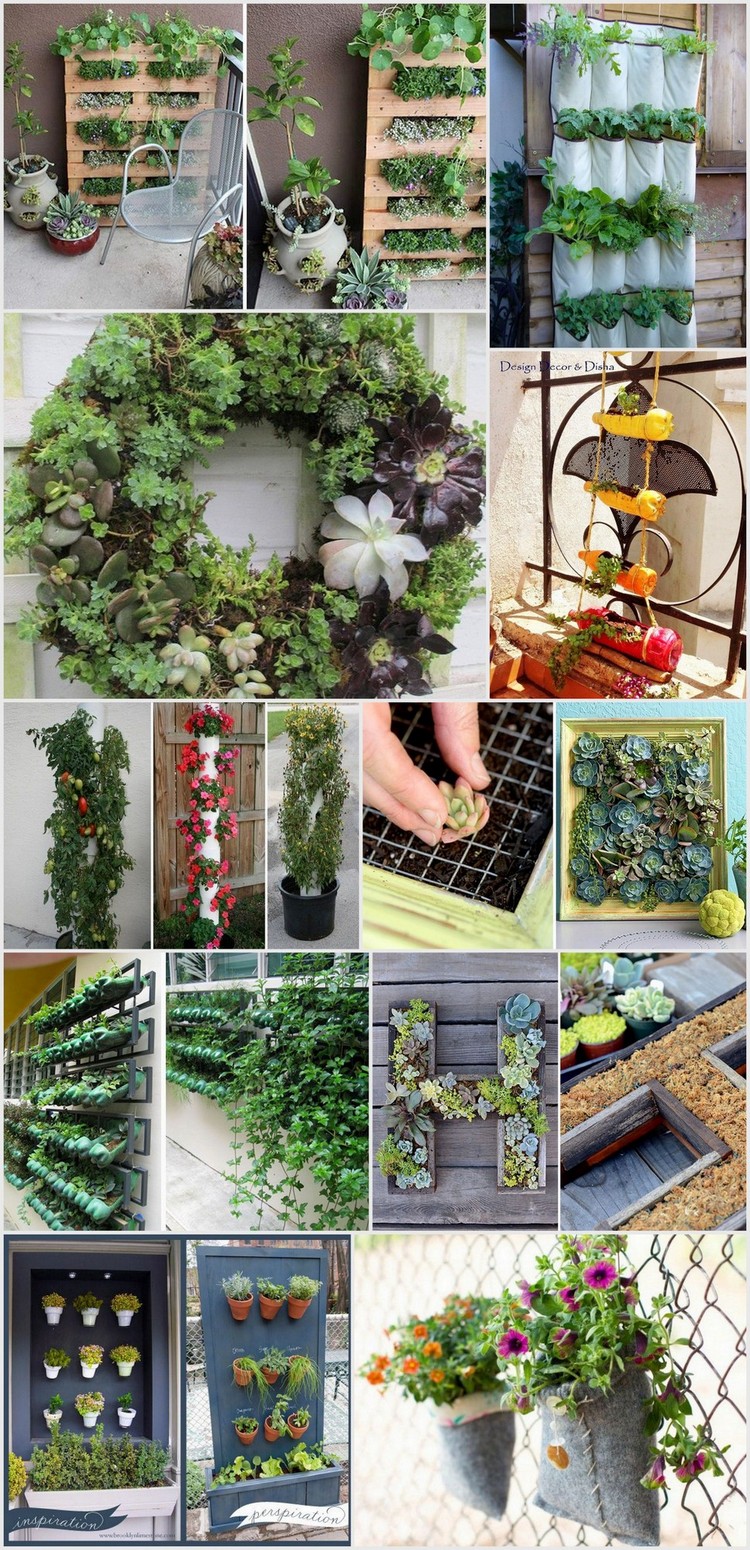 Creative Ways to Plant a Vertical Garden For Your Home