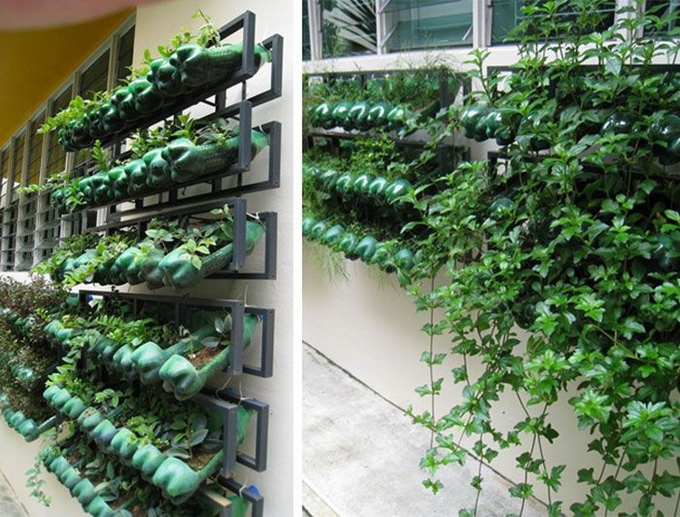 Plastic Bottle Vertical Garden