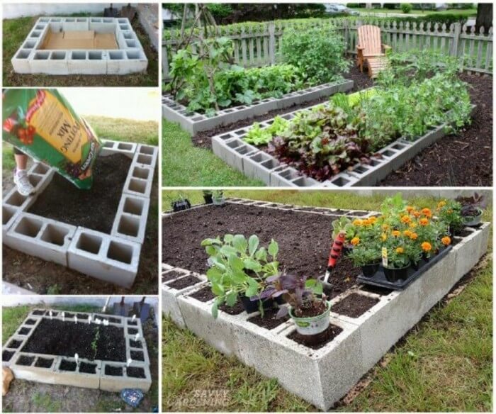 Cinder Blocks Gardening Idea