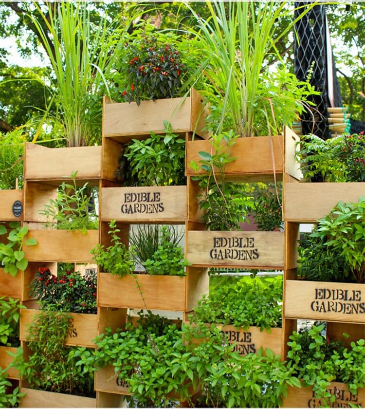 Awesome Vertical Garden for your Home
